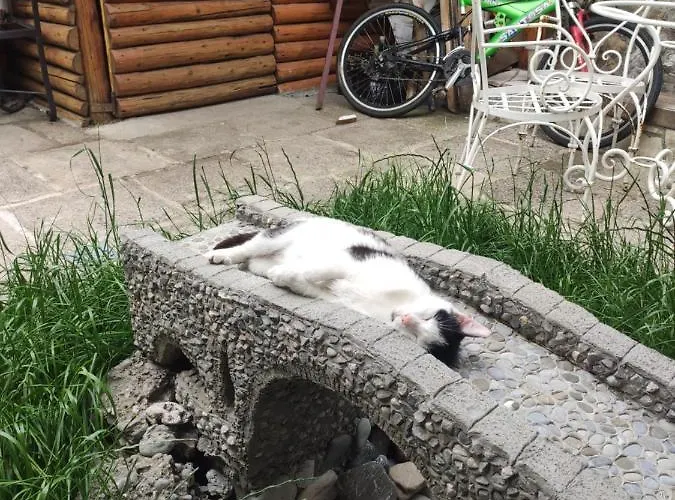 Heart Of Old Town Affittacamere Podgorica